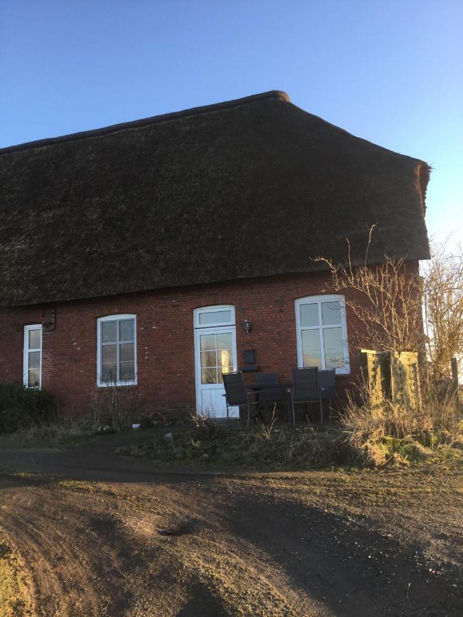 Ferienwohnung-Haus-Luetje-Wehr Hattstedtermarsch Exterior photo